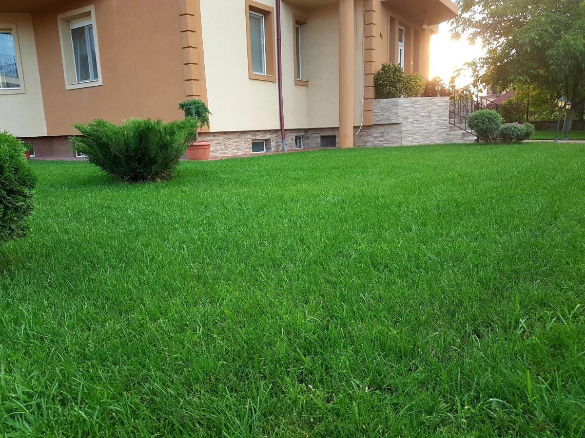 Casuta Cu Tei Vila Oradea Exterior foto
