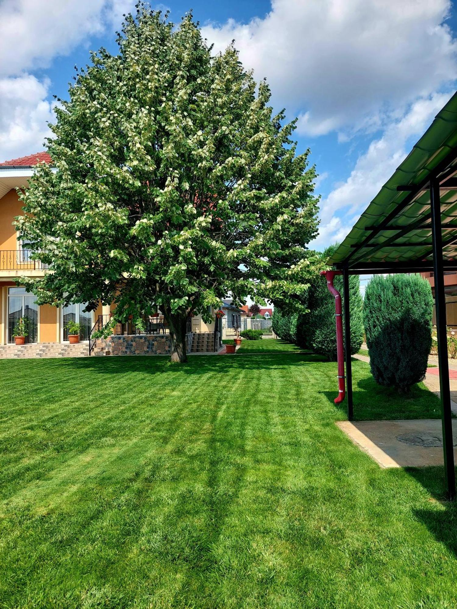 Casuta Cu Tei Vila Oradea Exterior foto